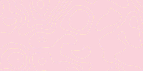 abstract pattern with lines. background of the topographic map. elevation contouring outline cartography texture. geographic abstract grid. futuristic wireframe landscape background