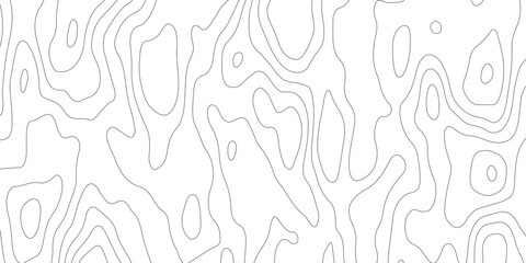 abstract pattern with lines. background of the topographic map. elevation contouring outline cartography texture. geographic abstract grid. futuristic wireframe landscape background.