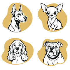 Four dogs of different breeds are shown in a row
