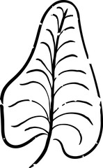 Leaf Icon Set and treeleaf