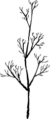 Leaf Icon Set