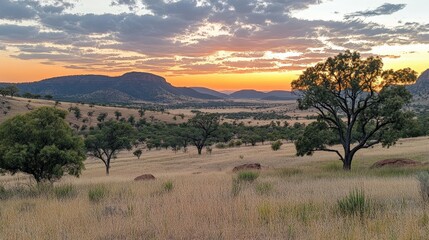 Breathtaking Sunset Over the Serene African Savanna Landscape