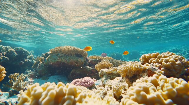 Vibrant Underwater Coral Reef Ecosystem with Tropical Fish