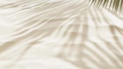 Soft Shadows on Sandy Beach with Palm Leaves