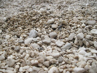Macro view of gravel beach on the sun. Pebbles on the seaside. Close up of a stone on a sunny summer day.	
