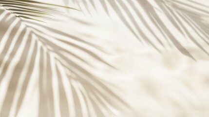 Gentle Shadows of Tropical Palm Leaves on Soft Background