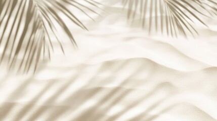 Tranquil Beach Scene with Palm Shadows