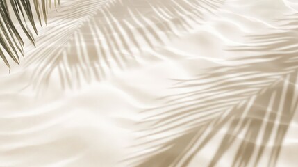 Obraz premium Soft Shadows on Sandy Beach with Palm Leaves