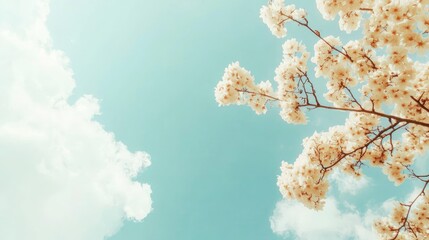 Blossoming Flowers Against Blue Sky