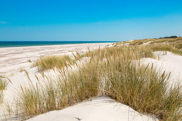 Wide dune in Leba, the biggest dune in Europe. Baltic sea. Poland. Windy weather.