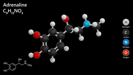 Epinephrine or adrenaline. A detailed model of a human hormone molecule. Molecular formula: C9H13NO3. Chemical model: Ball and Stick. Black background. 3d illustration