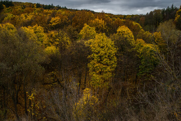 The hill overlooks the river, surrounded by yellow trees that seem to dip autumn into the water.