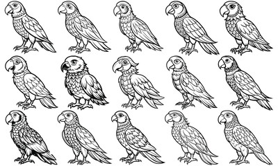 Parrot Coloring Page for Adults, Featuring Detailed Line Art Design, Perfect for Relaxation and Stress Relief, Ideal for Adult Coloring Books or Printable Art Therapy, High-Quality and Intricate Illus