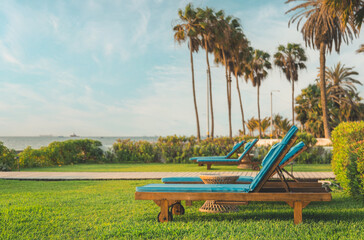 Obraz premium A row of lounge chairs are set up on a lawn next to a body of water
