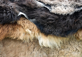animal skin with fur as background.