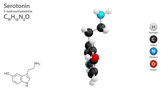 Serotonin. An animated 3D model of a human hormone molecule. Neurotransmitter. Antidepressant. Molecular formula: C10H12N2O. Chemical model: Ball and Stick. White background. 3D render. Seamless loop
