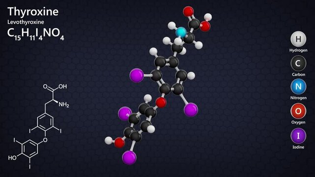 Levothyroxine or L-thyroxine. An animated 3D model of a thyroid hormone molecule. Molecular formula: C15H11I4NO4. Chemical model: Ball and Stick. Dark background. 3D rendering. Seamless loop