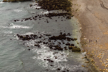 footprints on the beach