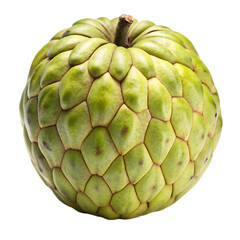 Fototapeta premium red and green apples