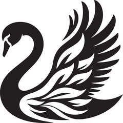 black and white swan