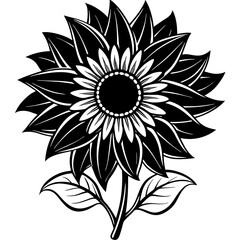 black and white flower