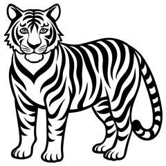 white tiger vector on a white background