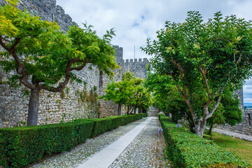 A scenic stone pathway lined with manicured hedges and lush green trees