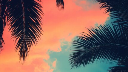 Obraz premium Palm leaves silhouette against a sunset sky.