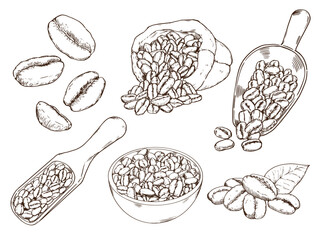 set of coffee beans in bag, bowl and scoop in hand drawn graphic style vector illustration set2