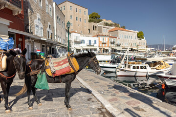 In the picturesque harbor of Hydra, Greece, donkeys carry supplies along cobblestone streets, surrounded by charming buildings and boats under clear skies.