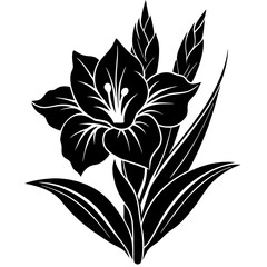 black and white flower