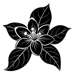 black and white flower isolated
