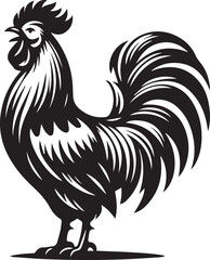 Chicken isolated on white background