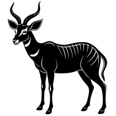 silhouette of a deer