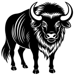 black and white bull