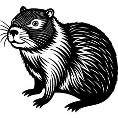 illustration of a rat