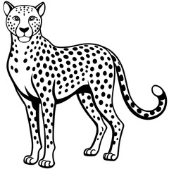 illustration of a leopard