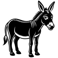 donkey isolated on white background