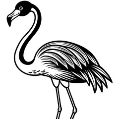 Fototapeta premium illustration of a pink flamingo