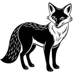 black and white fox