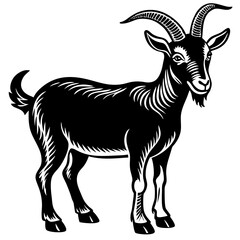 goat isolated on white