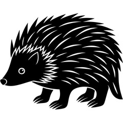 illustration of hedgehog