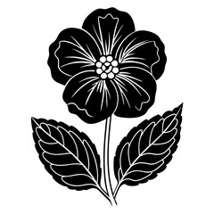 black and white flowers