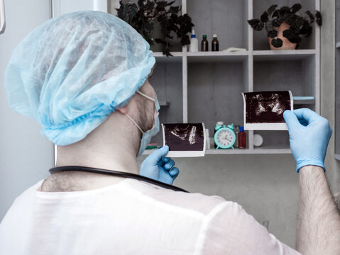 "Urinary System"-Bilder: Stock-Fotos & -Videos. | Adobe Stock