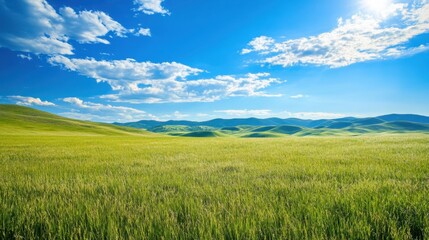 Fototapeta premium A panoramic view of a grassy meadow with detailed hills in the background and a bright blue sky.
