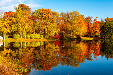 Autumn foliage in Catherine park, Pushkin (Tsarskoe Selo), Saint Petersburg, Russia