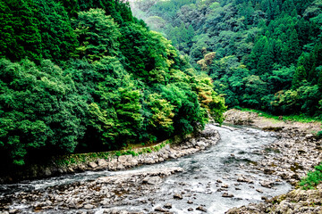 日本の美しい京都の風景。山、川、橋、木々。
