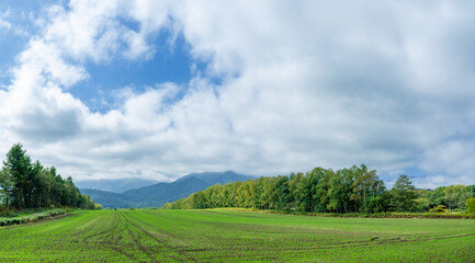 北海道の大自然、緑の大地と青い空