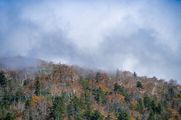 北海道・日勝峠、紅葉する山と雲海