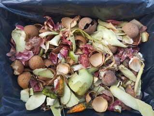 Sorting organic waste for organic fertilizer materials.
